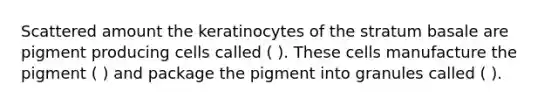 Scattered amount the keratinocytes of the stratum basale are pigment producing cells called ( ). These cells manufacture the pigment ( ) and package the pigment into granules called ( ).