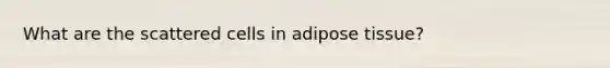 What are the scattered cells in adipose tissue?