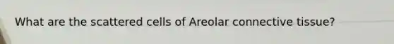 What are the scattered cells of Areolar connective tissue?