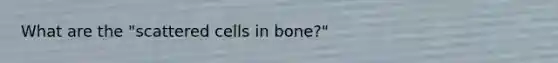 What are the "scattered cells in bone?"