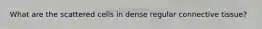What are the scattered cells in dense regular connective tissue?