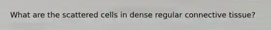 What are the scattered cells in dense regular connective tissue?