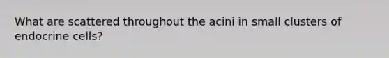 What are scattered throughout the acini in small clusters of endocrine cells?