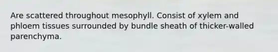 Are scattered throughout mesophyll. Consist of xylem and phloem tissues surrounded by bundle sheath of thicker-walled parenchyma.