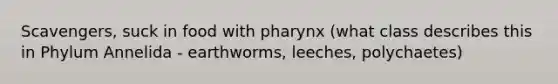 Scavengers, suck in food with pharynx (what class describes this in Phylum Annelida - earthworms, leeches, polychaetes)