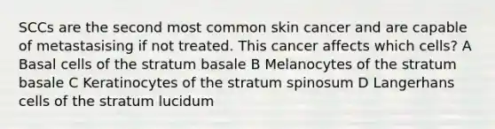 SCCs are the second most common skin cancer and are capable of metastasising if not treated. This cancer affects which cells? A Basal cells of the stratum basale B Melanocytes of the stratum basale C Keratinocytes of the stratum spinosum D Langerhans cells of the stratum lucidum