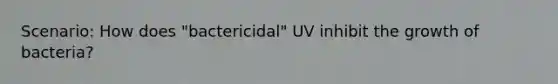 Scenario: How does "bactericidal" UV inhibit the growth of bacteria?