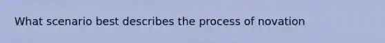 What scenario best describes the process of novation