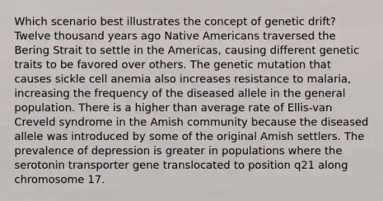 Which scenario best illustrates the concept of genetic drift? Twelve thousand years ago Native Americans traversed the Bering Strait to settle in the Americas, causing different genetic traits to be favored over others. The genetic mutation that causes sickle cell anemia also increases resistance to malaria, increasing the frequency of the diseased allele in the general population. There is a higher than average rate of Ellis-van Creveld syndrome in the Amish community because the diseased allele was introduced by some of the original Amish settlers. The prevalence of depression is greater in populations where the serotonin transporter gene translocated to position q21 along chromosome 17.