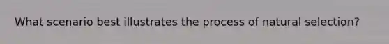 What scenario best illustrates the process of natural selection?