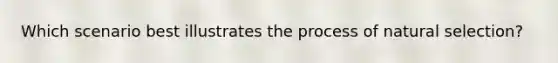 Which scenario best illustrates the process of natural selection?