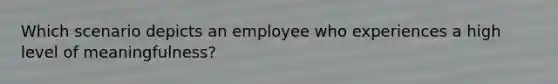 Which scenario depicts an employee who experiences a high level of meaningfulness?