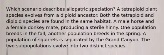 Which scenario describes allopatric speciation? A tetraploid plant species evolves from a diploid ancestor. Both the tetraploid and diploid species are found in the same habitat. A male horse and a female donkey mate, producing a sterile hinny. One population breeds in the fall; another population breeds in the spring. A population of squirrels is separated by the Grand Canyon. The two subpopulations evolve into two distinct species.