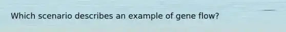 Which scenario describes an example of gene flow?