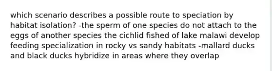 which scenario describes a possible route to speciation by habitat isolation? -the sperm of one species do not attach to the eggs of another species the cichlid fished of lake malawi develop feeding specialization in rocky vs sandy habitats -mallard ducks and black ducks hybridize in areas where they overlap