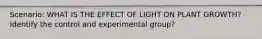 Scenario: WHAT IS THE EFFECT OF LIGHT ON PLANT GROWTH? Identify the control and experimental group?