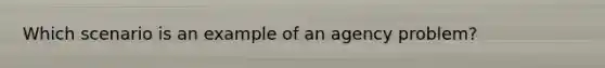 Which scenario is an example of an agency problem?