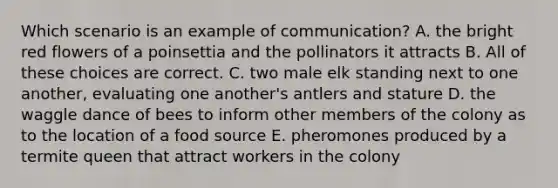 Which scenario is an example of communication? A. the bright red flowers of a poinsettia and the pollinators it attracts B. All of these choices are correct. C. two male elk standing next to one another, evaluating one another's antlers and stature D. the waggle dance of bees to inform other members of the colony as to the location of a food source E. pheromones produced by a termite queen that attract workers in the colony