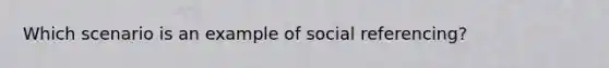 Which scenario is an example of social referencing?