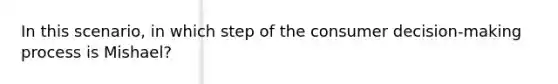 In this scenario, in which step of the consumer decision-making process is Mishael?