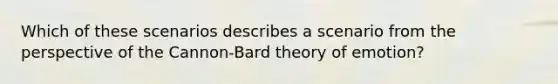 Which of these scenarios describes a scenario from the perspective of the Cannon-Bard theory of emotion?