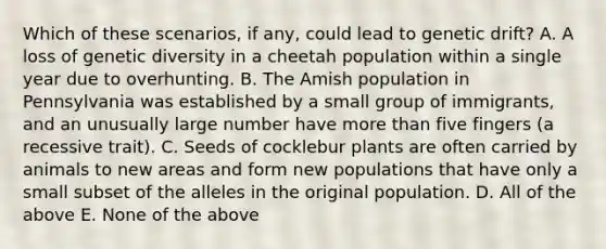 Which of these scenarios, if any, could lead to genetic drift? A. A loss of genetic diversity in a cheetah population within a single year due to overhunting. B. The Amish population in Pennsylvania was established by a small group of immigrants, and an unusually large number have <a href='https://www.questionai.com/knowledge/keWHlEPx42-more-than' class='anchor-knowledge'>more than</a> five fingers (a recessive trait). C. Seeds of cocklebur plants are often carried by animals to new areas and form new populations that have only a small subset of the alleles in the original population. D. All of the above E. None of the above