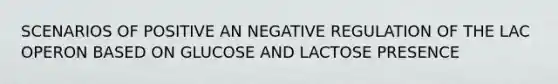 SCENARIOS OF POSITIVE AN NEGATIVE REGULATION OF THE LAC OPERON BASED ON GLUCOSE AND LACTOSE PRESENCE