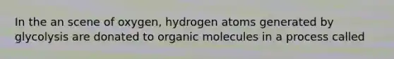 In the an scene of oxygen, hydrogen atoms generated by glycolysis are donated to organic molecules in a process called