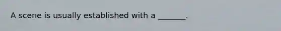 A scene is usually established with a _______.