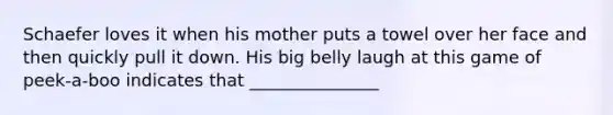 Schaefer loves it when his mother puts a towel over her face and then quickly pull it down. His big belly laugh at this game of peek-a-boo indicates that _______________