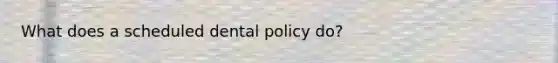 What does a scheduled dental policy do?