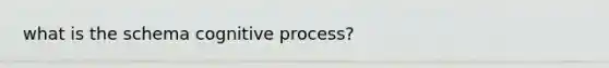what is the schema cognitive process?