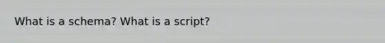 What is a schema? What is a script?