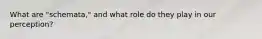 What are "schemata," and what role do they play in our perception?