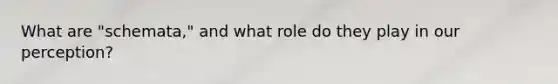 What are "schemata," and what role do they play in our perception?