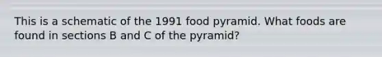 This is a schematic of the 1991 food pyramid. What foods are found in sections B and C of the pyramid?