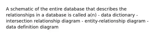 A schematic of the entire database that describes the relationships in a database is called a(n) - data dictionary - intersection relationship diagram - entity-relationship diagram - data definition diagram