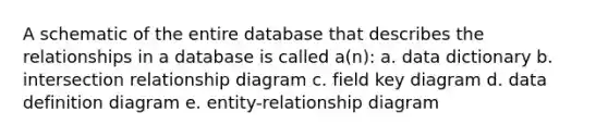 A schematic of the entire database that describes the relationships in a database is called a(n): a. data dictionary b. intersection relationship diagram c. field key diagram d. data definition diagram e. entity-relationship diagram