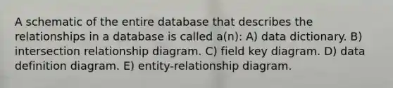 A schematic of the entire database that describes the relationships in a database is called a(n): A) data dictionary. B) intersection relationship diagram. C) field key diagram. D) data definition diagram. E) entity-relationship diagram.