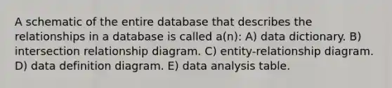 A schematic of the entire database that describes the relationships in a database is called a(n): A) data dictionary. B) intersection relationship diagram. C) entity-relationship diagram. D) data definition diagram. E) data analysis table.