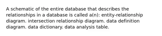 A schematic of the entire database that describes the relationships in a database is called a(n): entity-relationship diagram. intersection relationship diagram. data definition diagram. data dictionary. data analysis table.