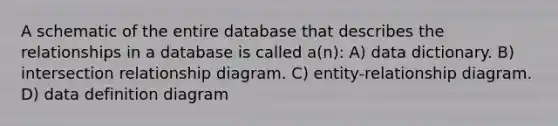 A schematic of the entire database that describes the relationships in a database is called a(n): A) data dictionary. B) intersection relationship diagram. C) entity-relationship diagram. D) data definition diagram