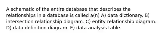 A schematic of the entire database that describes the relationships in a database is called a(n) A) data dictionary. B) intersection relationship diagram. C) entity-relationship diagram. D) data definition diagram. E) data analysis table.