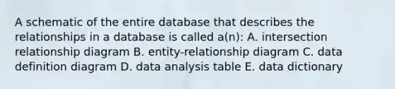 A schematic of the entire database that describes the relationships in a database is called a(n): A. intersection relationship diagram B. entity-relationship diagram C. data definition diagram D. data analysis table E. data dictionary