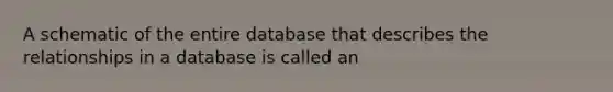 A schematic of the entire database that describes the relationships in a database is called an