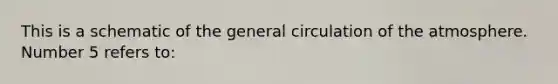 This is a schematic of the general circulation of the atmosphere. Number 5 refers to: