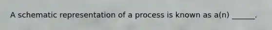 A schematic representation of a process is known as a(n) ______.