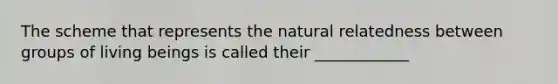 The scheme that represents the natural relatedness between groups of living beings is called their ____________