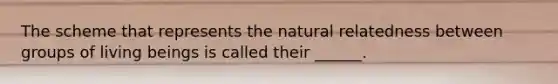 The scheme that represents the natural relatedness between groups of living beings is called their ______.