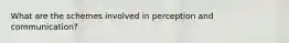 What are the schemes involved in perception and communication?